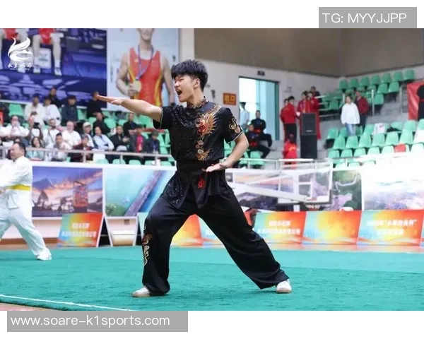 海内外逾千名功夫爱好者福建永春以“拳”会友